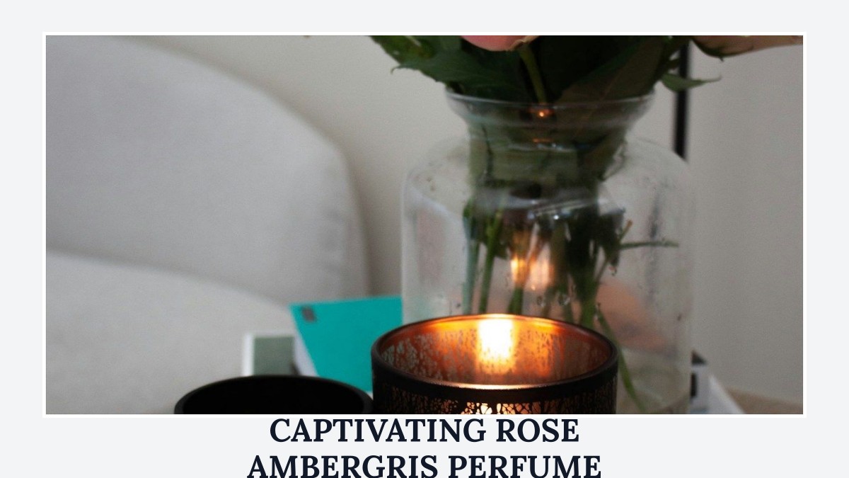 captivating rose ambergris perfume