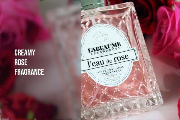 creamy rose fragrance