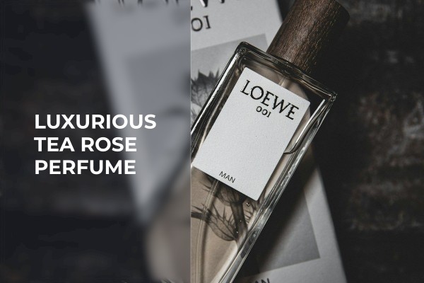 fresh blooming rose fragrance