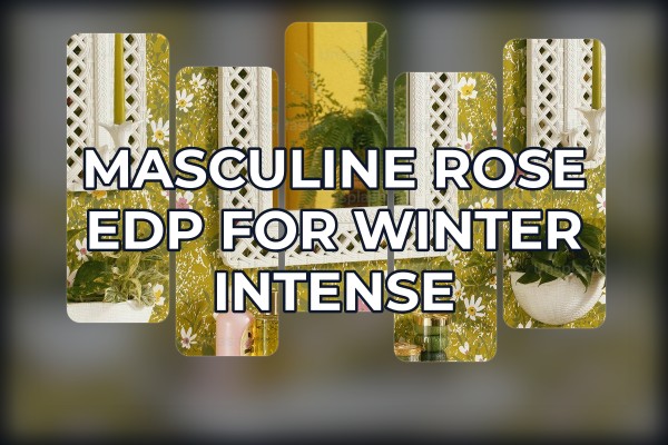 masculine rose edp for winter intense