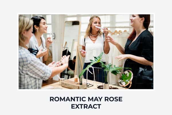romantic May rose extract