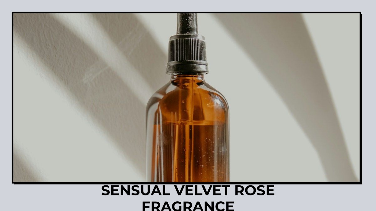 sensual velvet rose fragrance