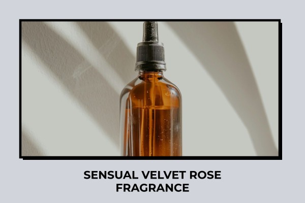 sensual velvet rose fragrance