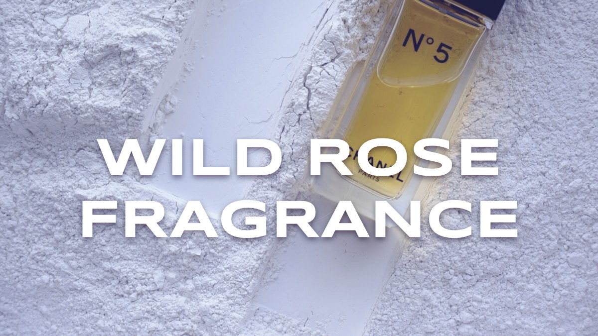 wild rose fragrance